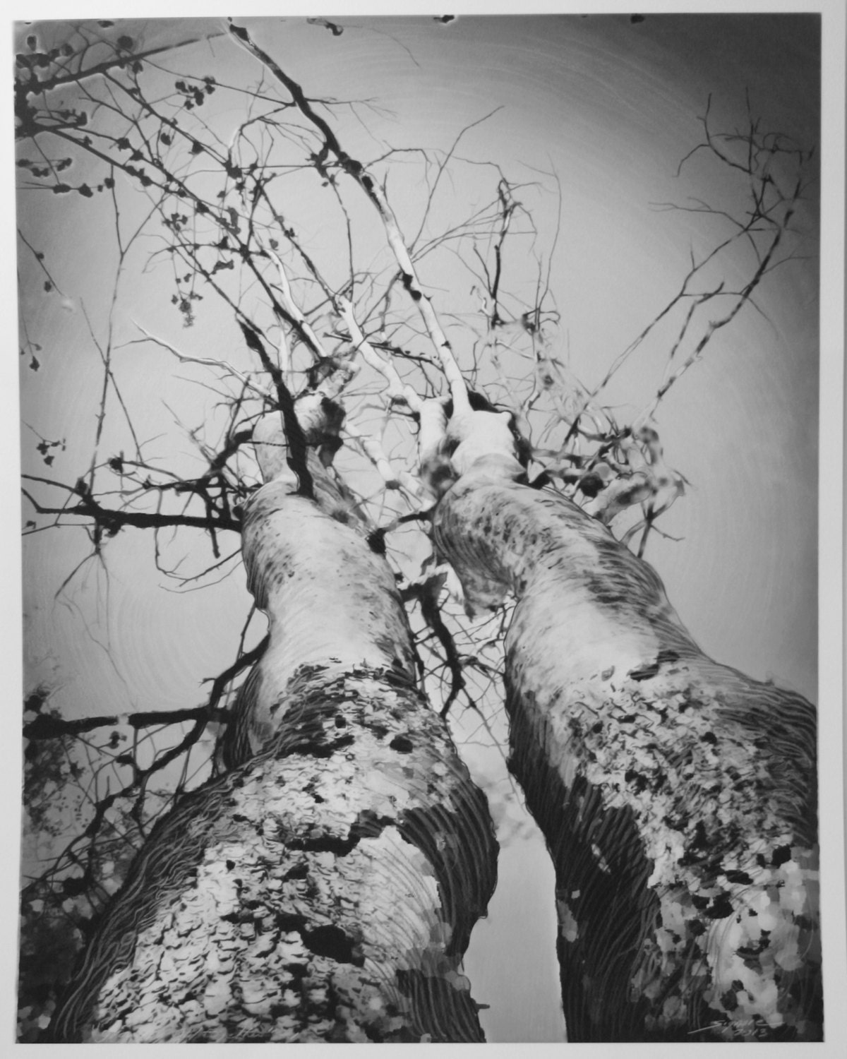 Special listing for Ashely, Growing old together, 16x20, Nature wedding, Original, Fine Art photograph, unique wedding gift, love, grey art