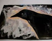 crow