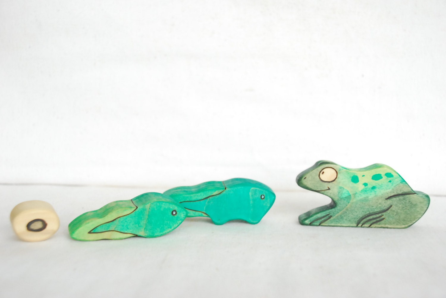 Frog Life Cycle