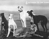 RoxyRani's Greyhound Print from an Antique Postcard - Gathering of the Clans