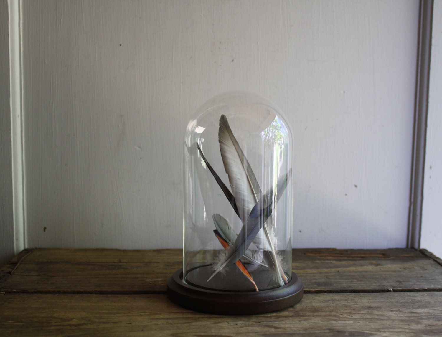 vintage display dome