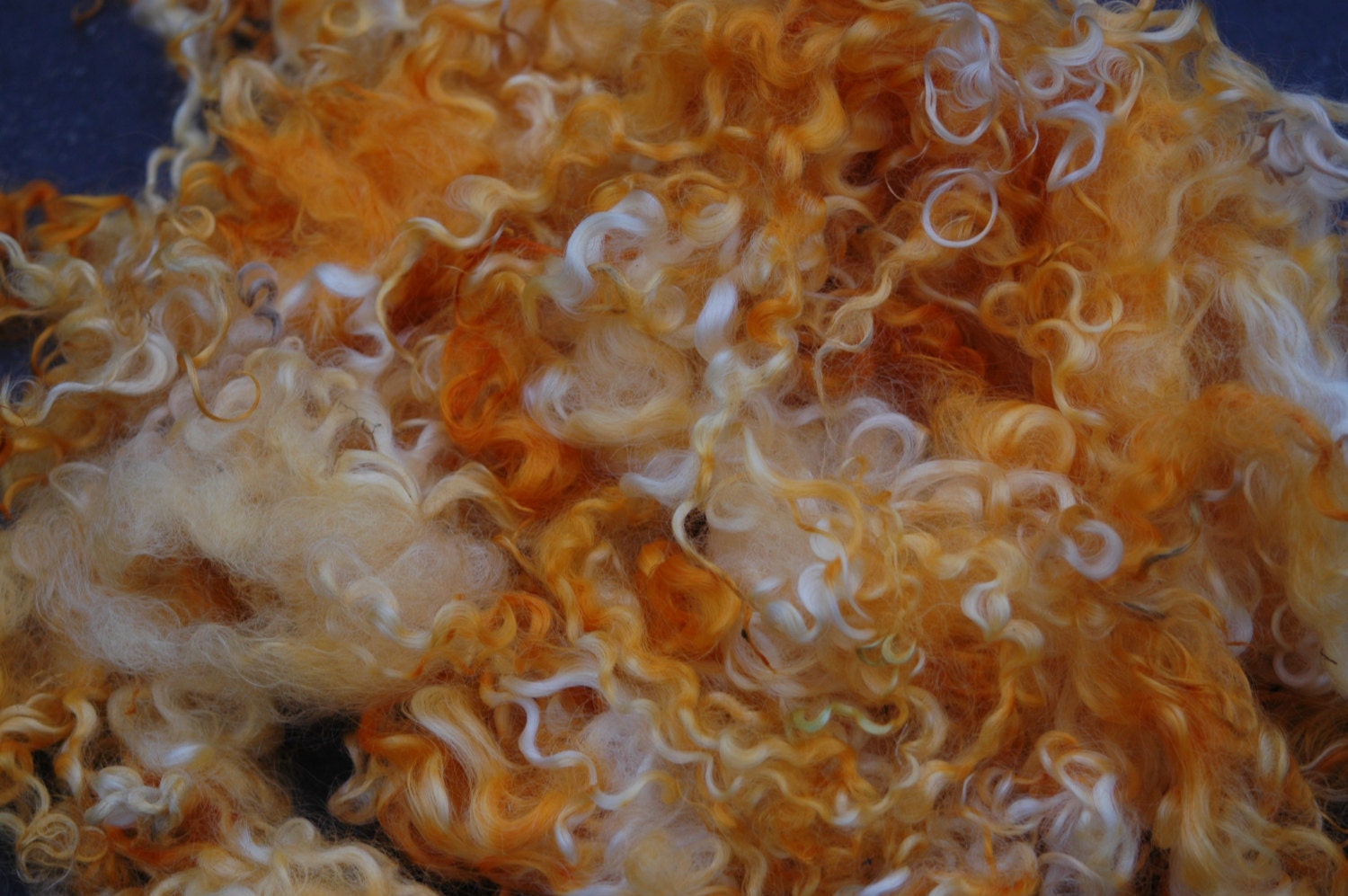 Marigold   Hand dyed wensleydale Locks 80 grams