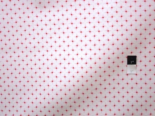 Heather Bailey OCHB04 Nicey Jane Hop Dot Cherry Cotton LAMINATE Fabric 1 Yd