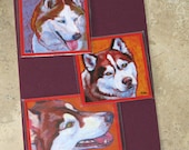 SIBERIAN HUSKY Dogs Art MAGNETS - set of 3 - Paintings by Lynn Culp
