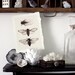 cicada art print collection of three original woodburnings