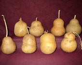Gourds 8 dried, cleaned and Craft ready Pudgy, Chubby, mini Gourds (Item 10)
