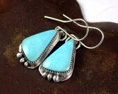 Turquoise and Sterling Silver Earrings