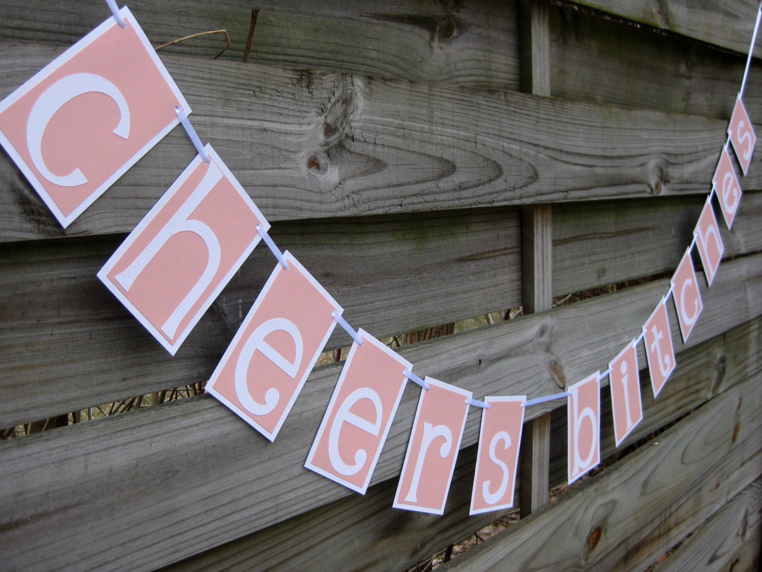 Cheers Bitches - Bachelorette Party Banner in Pink and Shimmery White