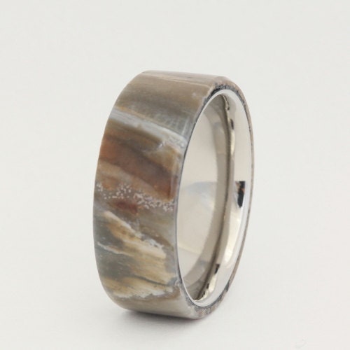 Petrified Wood Ring with Titanium Sleeve