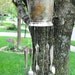 FREE SHIPPING - One-of-a-Kind Ice Bucket Wind Chime and Planter