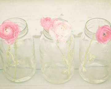 Nature Photography.  Fine art photograph cottage garden flowers for home.