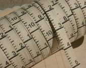 Twill Cream Black Measure Tape - Vertical Print - Double Sided Trim - 6 Yards