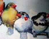 FOUND IN SPAIN - vintage bird print
