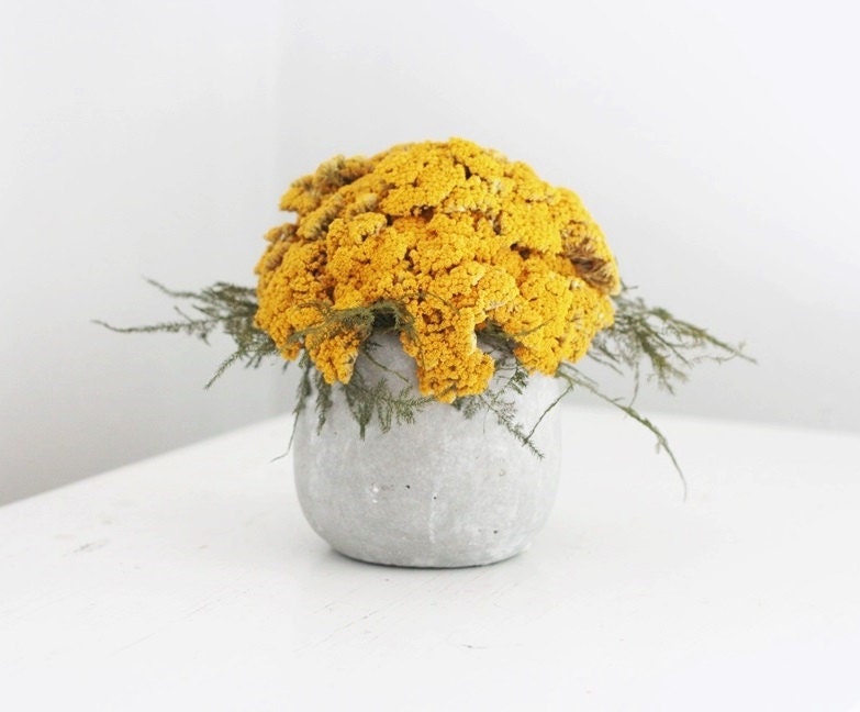 NEW- spring yarrow mound, dried flower arrangement