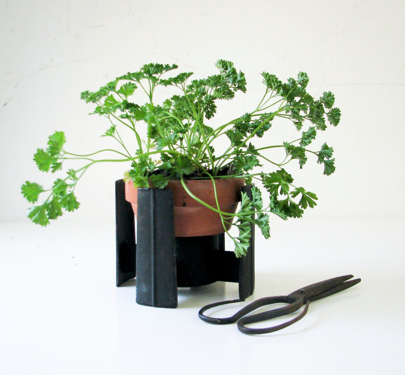 Iron Plant Stand - Mid Century Modern - Repurposed  Pot Warmer