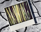 Bamboo Print Coasters, Polaroid Style Photo Coasters, Set of 4 Drink Coasters, Dark Green, Light Green, Nature