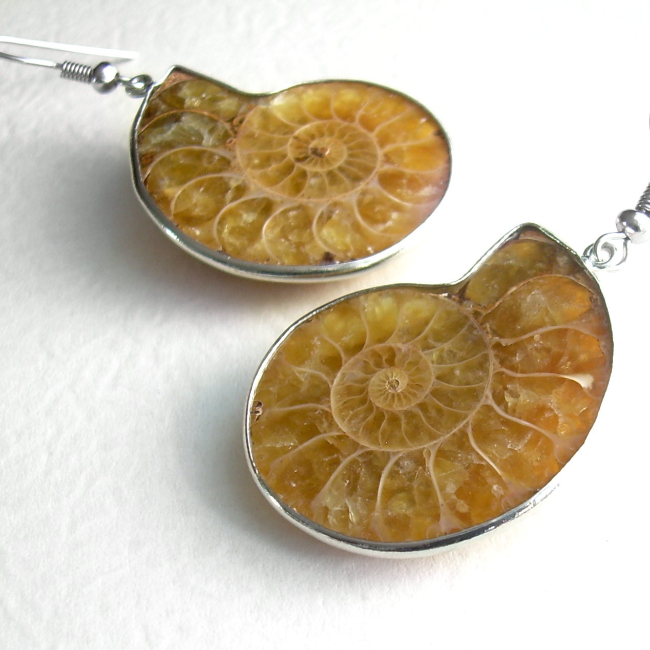 Caramel Fossil Earrings, Cephalopod Nautilus Science Jewelry