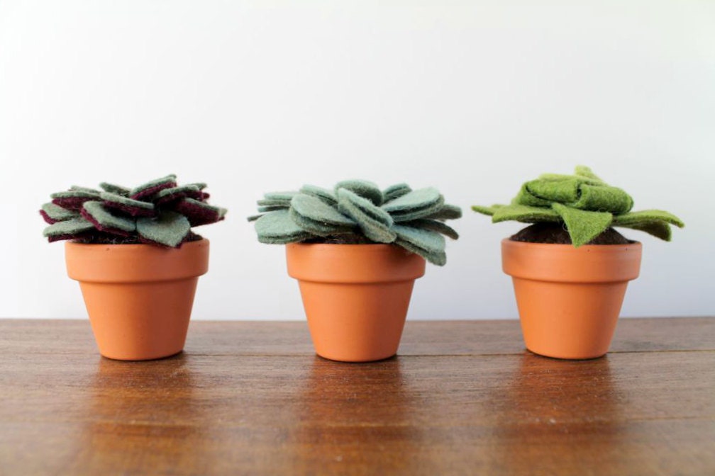 Artificial Potted Felt Plant Collection // Felt Succulent Trio in Small Pots // Apartment Decor by OrdinaryMommy on Etsy