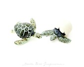 Miniature Sea Turtle Terrarium Decoration Figurine Set