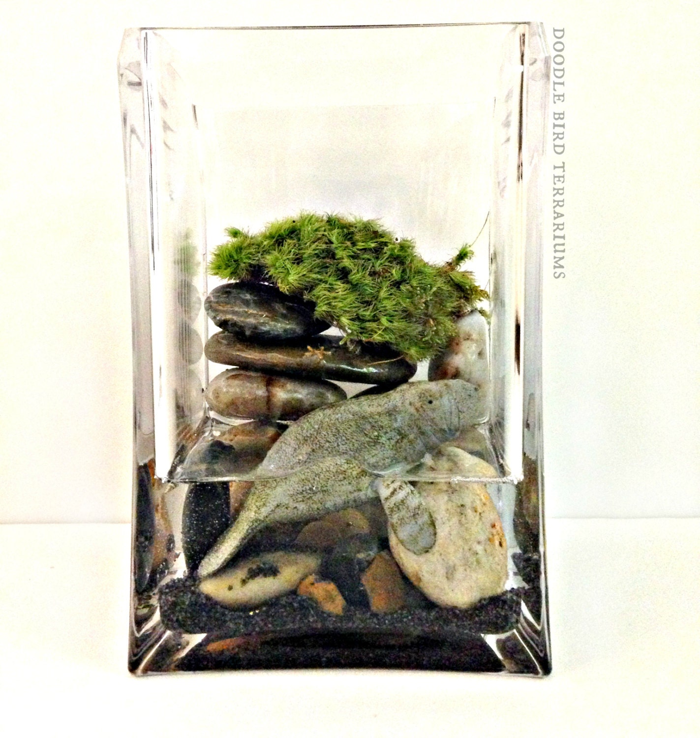 Save the Manatee Terrarium / Donate Endangered Species / Collectible Figurine / Sea Cow / Live Plant Aquarium