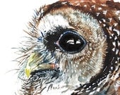 Watercolor Painting, Original Painting,Owl, 6"x9"