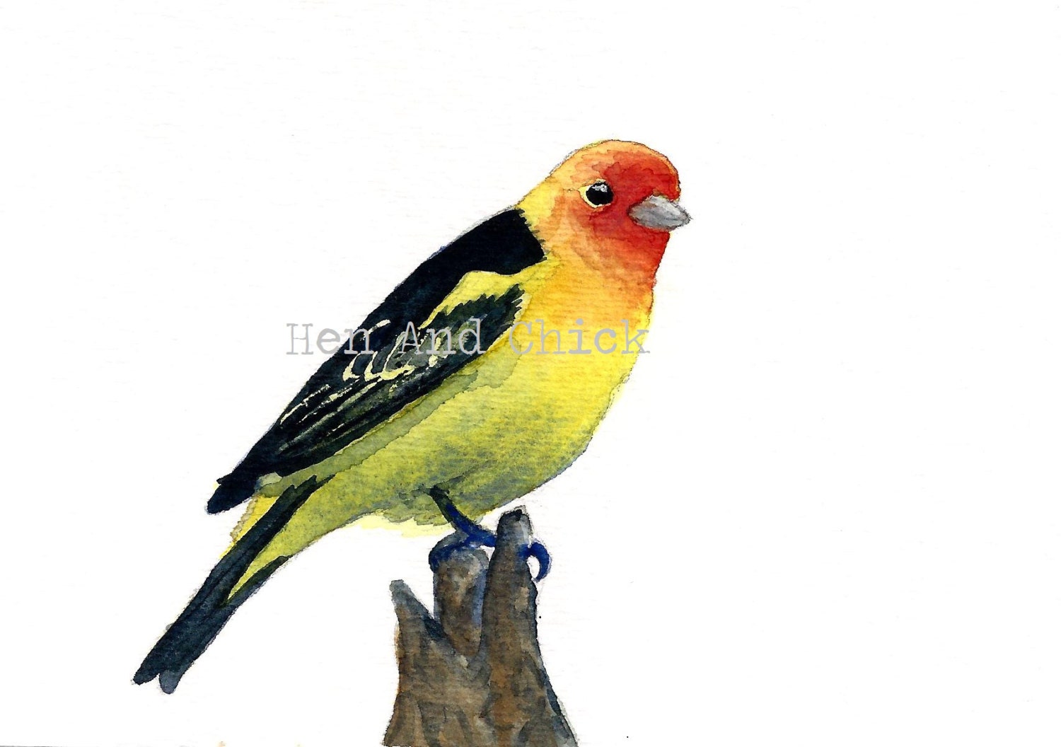 Watercolor Bird Card, Western Tanager Bird, One Card