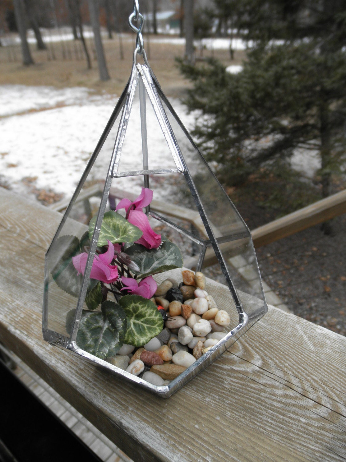 Hanging Glass Terrarium