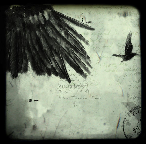Reserved for Amwallis - Wing, What crows reveal II