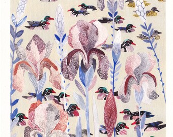 Mourning Iris and Wood Ducks- 11" x 14"  Archival Print