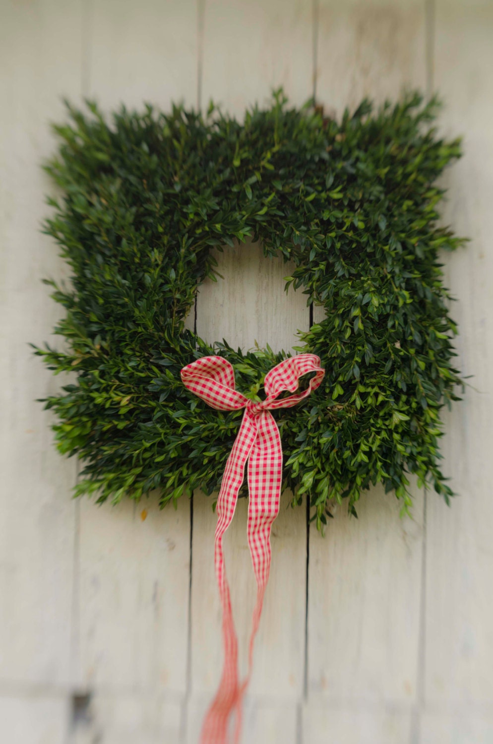 20 Inch Square Boxwood Wreaths, wedding wreath, fresh wreaths, spring wreath, boxwood wreaths