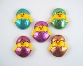 Cute Fridge Magnet - Spring Chick Easter gift - select your color - magenta, pink, lilac, blue, teal, light blue, copper, green
