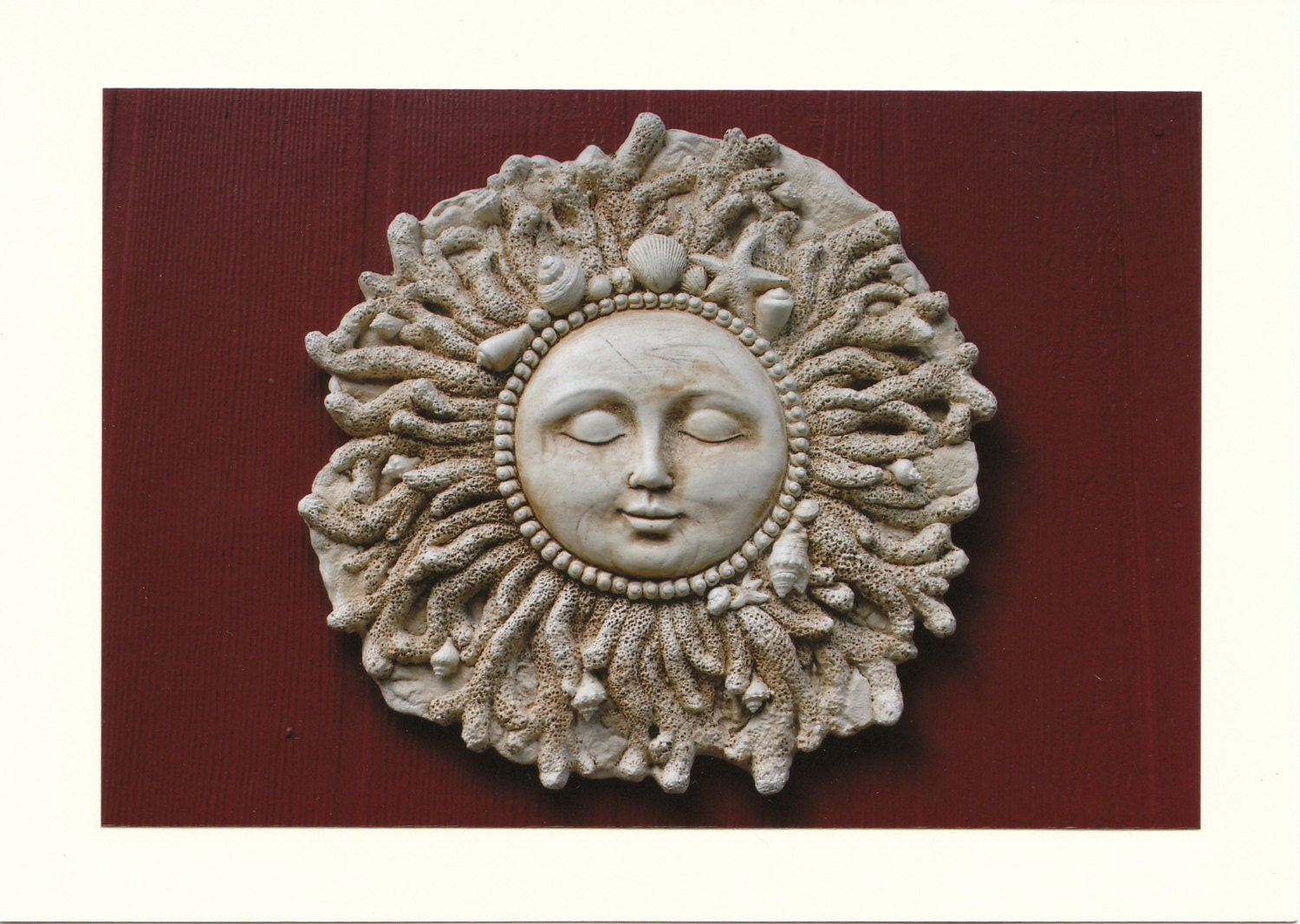 Florida Sun Photo Note Cards - Set of TEN