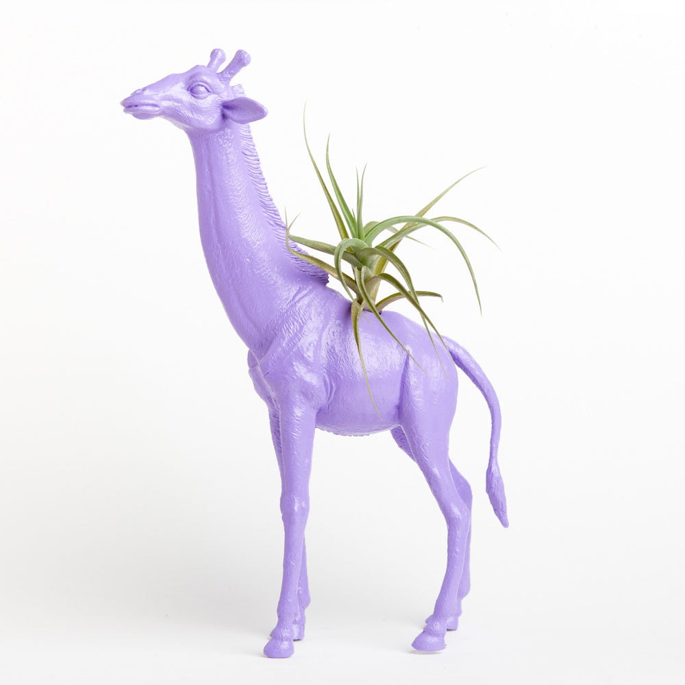 Giraffe Planter with Air Plant Room Decor, College Dorm Ornament, Plants and Edibles, Lilac