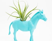 Animal Planter with Air Plant Room Decor, Dorm Room, Zebra, Turquoise Plant Pot, Safari Animal