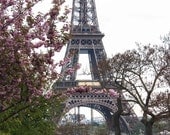 Paris Photography - Springtime in Paris - Pink Cherry Blossoms Eiffel Tower  - 8x10 Fine Art Photograph - Paris Home Decor - Blush Pink