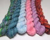 MINIS - Sock Garden - Hand Dyed & Hand Painted