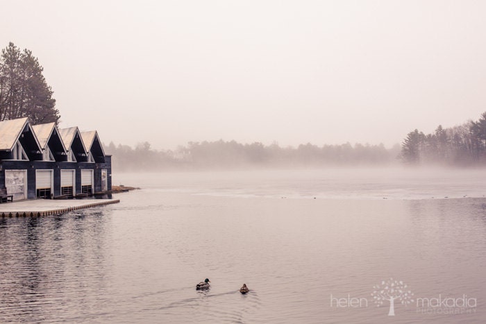 Nature Photograph. Boathouse, Fog and Ducks. On a Lake. Fog Rising. Home Decor. 8x12 print.