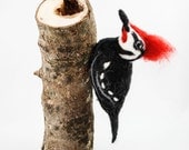 Needle Felted Woodpecker