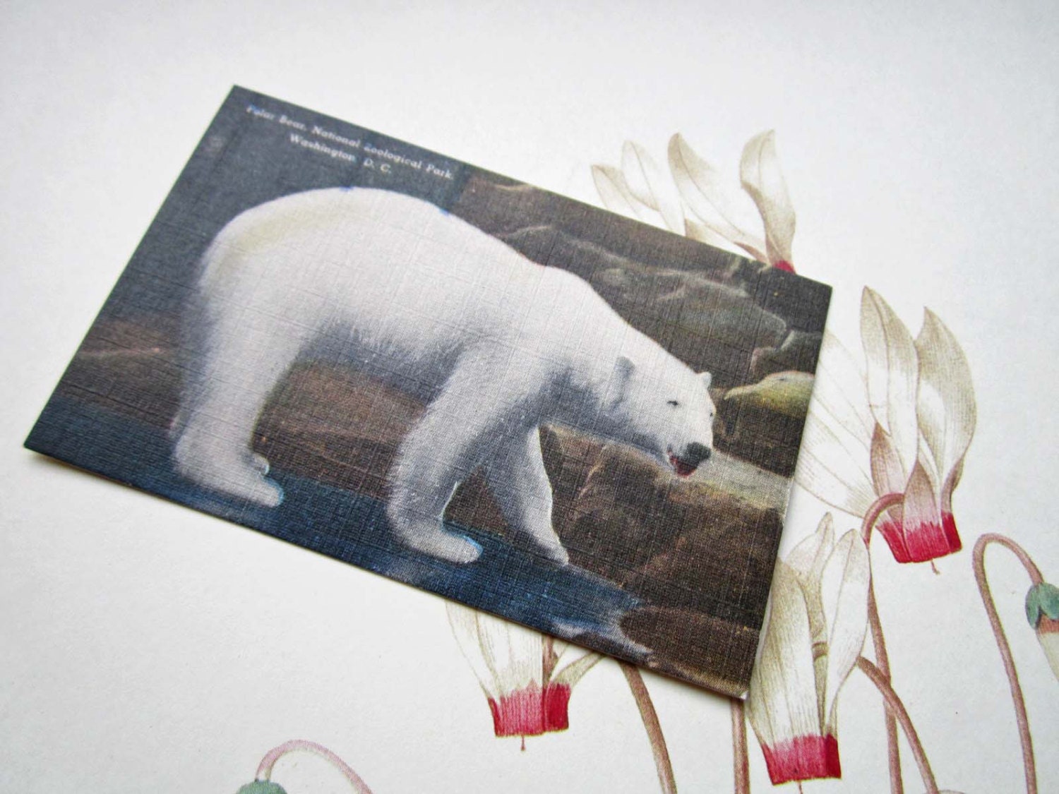 Small Linen Card Polar Bear