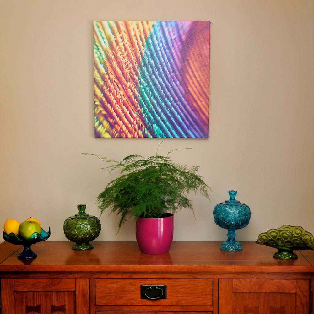 SALE - 20"x20" Gallery Thin Wrapped Canvas - Bright Peacock Feather - Made by artstudio54 on ETSY