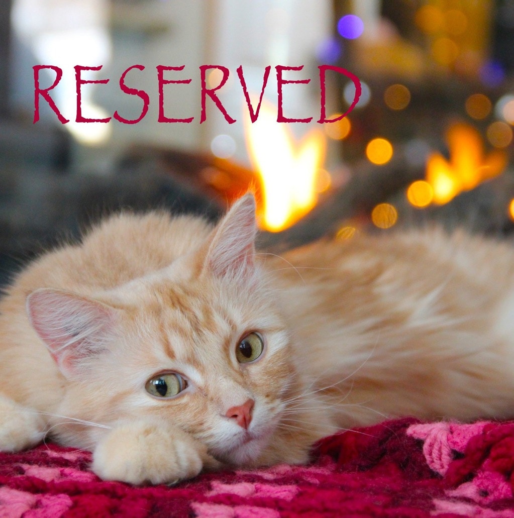 Reserved for Katie - 'SASHA'