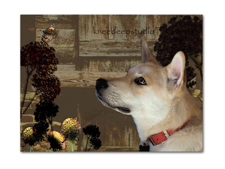 Custom Dog Portrait Digital Print 8x10 photographic collage home decor