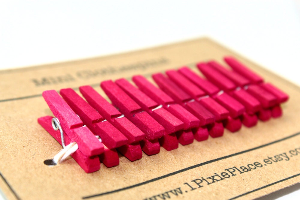 Mini Clothespins - Set of 12 - Fandango Pink