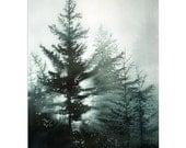Pine Trees, Morning Fog, Daybreak, Watercolor Reproduction, Fine Art Print, 10 x 8, Limited Ed.