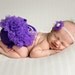 Purple Chiffon Diaper Cover Newborn Photography Props with Matching Headband 0-3 Months - Newborn Photo Props, Bloomers, Baby Props, Newborn