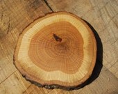 Wooden Oak Trivet