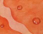 Raindrops on Roses Original Watercolour ACEO