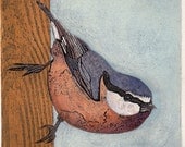 Red Breasted Nuthatch 5 - Hand-Pulled Collograph Art Relief Print, bird, pale blue, rust, yellow ochre, wall decor