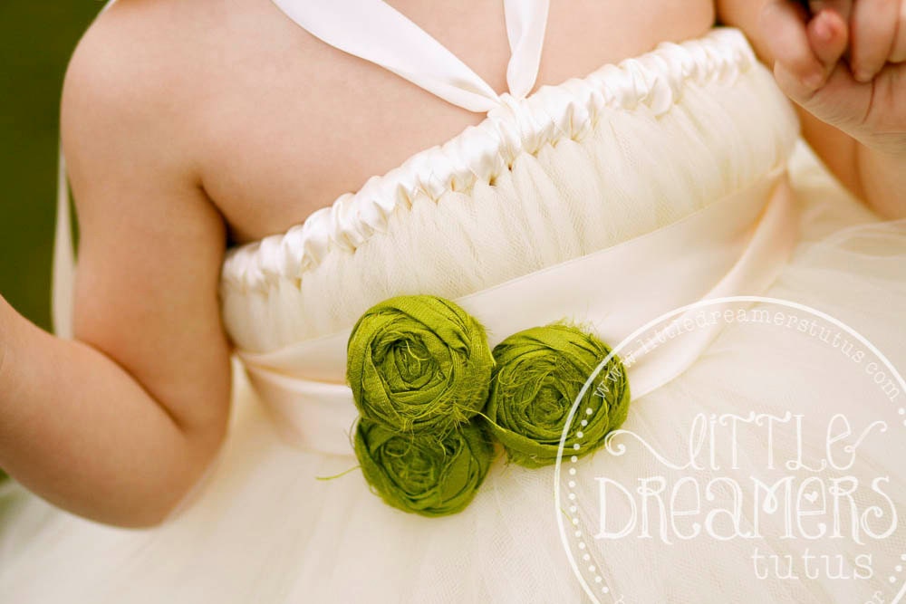 Ivory Flower Girl Tutu Dress with Rosette Sash