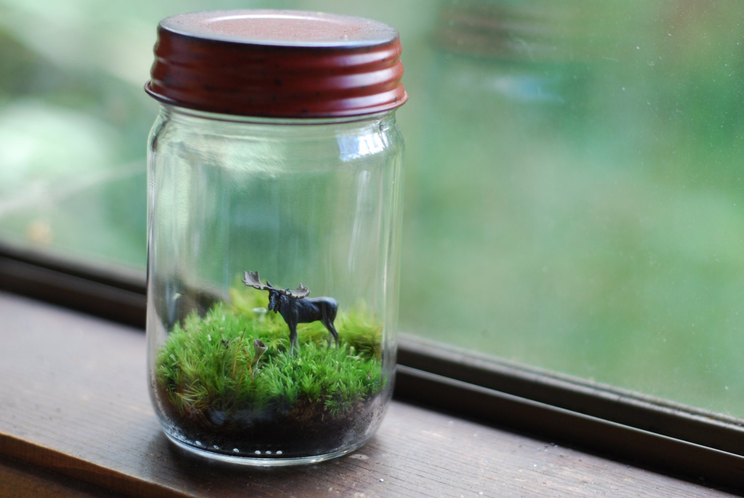 moss terrarium with miniature moose